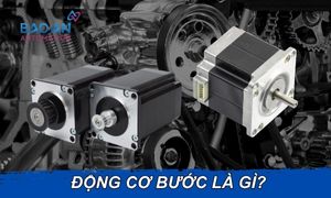 Động cơ điện 3 pha là gì? Kiến thức về động cơ điện 3 pha